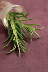 Image showing Still life with lavender sprout