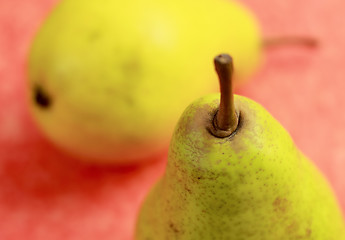 Image showing Pear detail