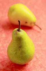 Image showing Two pears