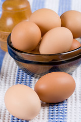 Image showing brown eggs