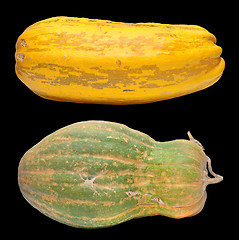 Image showing Pumpkins