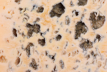 Image showing Blue cheese