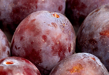 Image showing Black plums