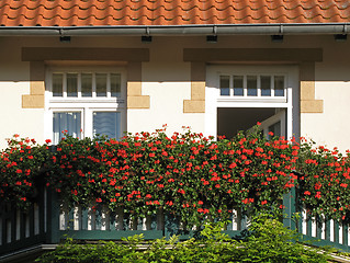 Image showing Beautiful decorated balcony