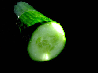 Image showing Cucumber