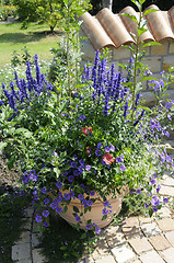 Image showing Flowerpot