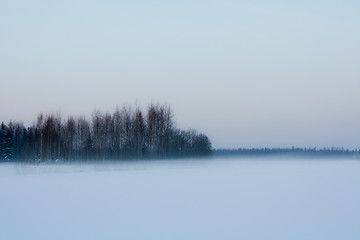 Image showing Foggy winter