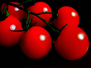 Image showing tomatoes