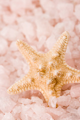 Image showing starfish in the sea salt