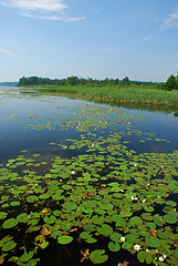 Image showing Beutyful lakes and forests of Uusimaa region in Finland