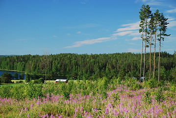 Image showing Countryside in Hankasalmi Municipality of Central Finland