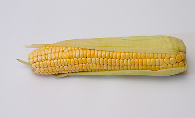 Image showing Corn ear