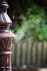Image showing Water splashing on a lamppost