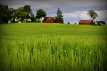 Image showing The countryside