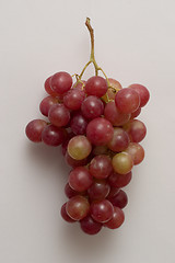 Image showing rosy grapes