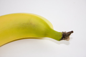 Image showing Yellow Banana