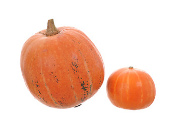 Image showing pumpkin