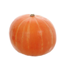 Image showing pumpkin