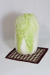 Image showing Chinese cabbage