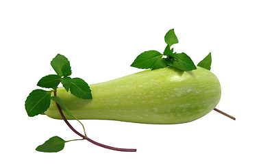 Image showing Zucchini with basil