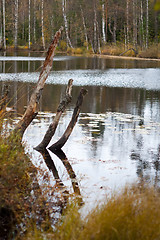 Image showing A pond