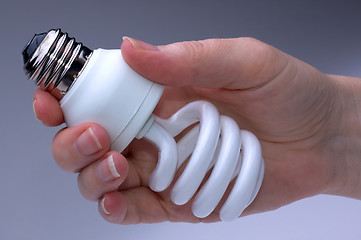 Image showing Low Energy Lightbulb