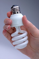 Image showing Energy Saver Lightbulb