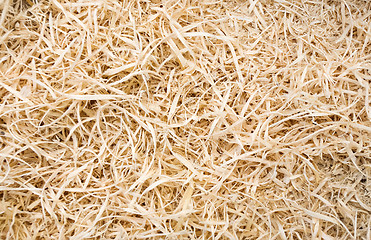 Image showing Sawdust
