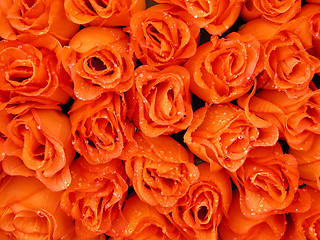 Image showing orange beauty