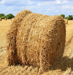 Image showing haystack