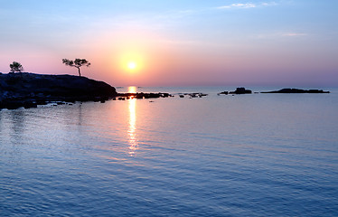 Image showing Alone tree at sunset