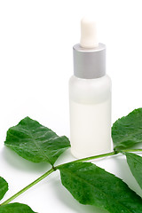 Image showing cosmetic products with green leaf 