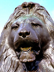 Image showing Lion statue