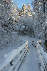 Image showing A wooden bridge