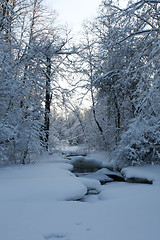 Image showing Frozen river