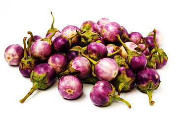Image showing Group of small Egg-plants. Aubergine.