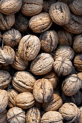 Image showing Walnuts