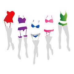 Image showing Women lingerie