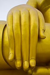 Image showing Hand of the Buddha