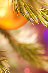Image showing The golden christmas ball hangs on a pine branch