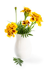 Image showing marigold flowers in vase