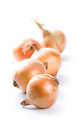 Image showing five ripe onions