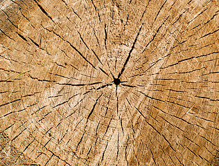 Image showing wooden background