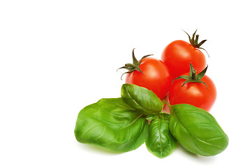 Image showing Basil and tomatoes