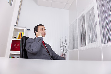 Image showing Mature businessman talking on the phone