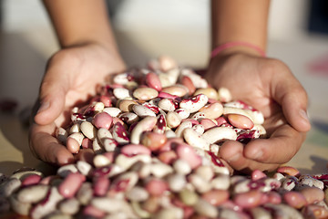 Image showing Sharing some food