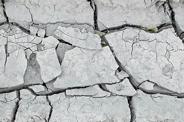 Image showing Cracked earth