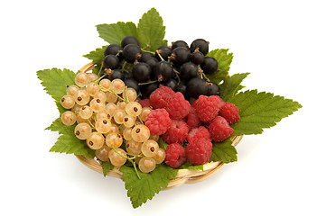 Image showing Currants and raspberries
