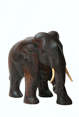 Image showing elephant 