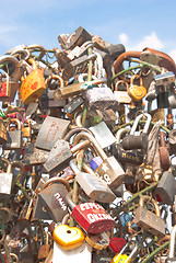 Image showing Tree from locks